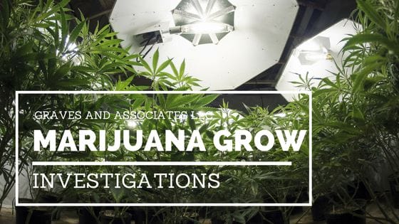 marijuana grow investigations